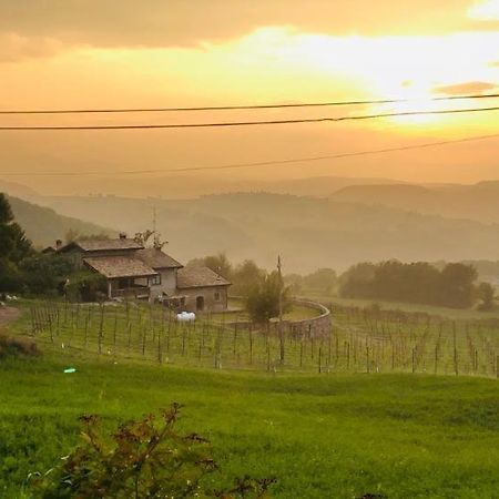 Fattoria Branciana Bed & Breakfast Rossena Ngoại thất bức ảnh