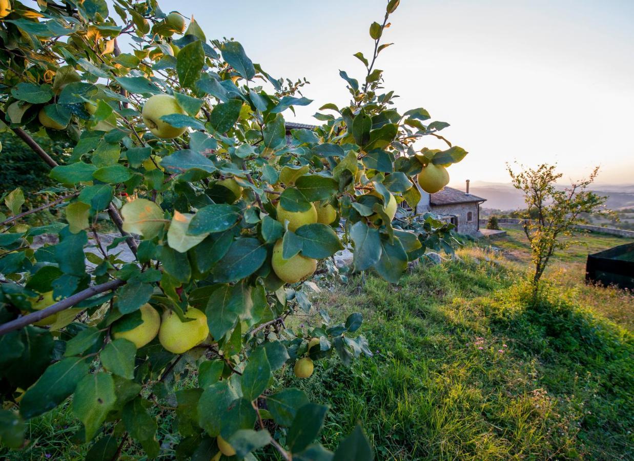 Fattoria Branciana Bed & Breakfast Rossena Ngoại thất bức ảnh